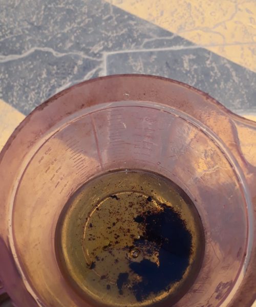 WhatsApp Image 2020-03-12 at 12.58.26 PM (4)