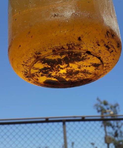 WhatsApp Image 2020-03-12 at 12.58.27 PM (2)