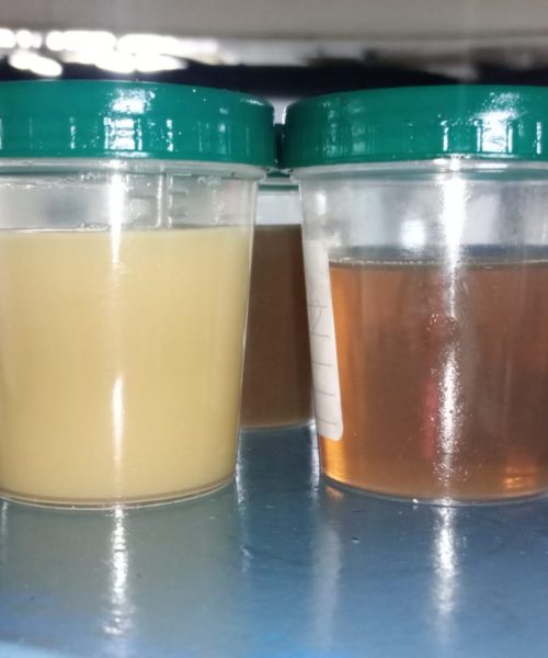 WhatsApp Image 2023-04-26 at 1.33.47 PM