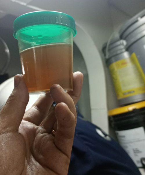 WhatsApp Image 2023-04-26 at 1.33.48 PM (1)