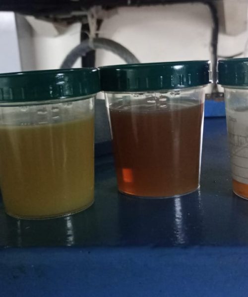 WhatsApp Image 2023-04-26 at 1.33.48 PM (2)