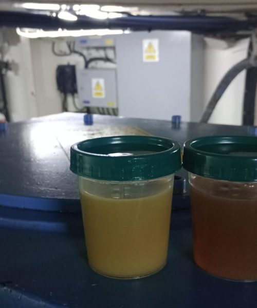 WhatsApp Image 2023-04-26 at 1.33.48 PM