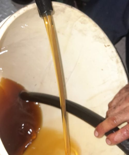 WhatsApp Image 2023-04-26 at 1.33.49 PM