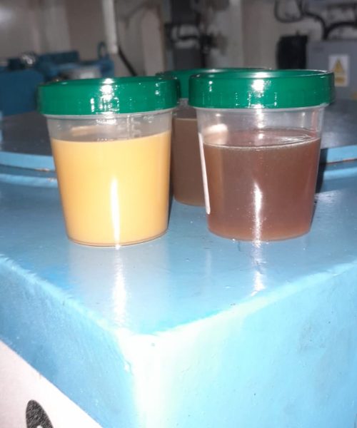 WhatsApp Image 2023-04-26 at 1.33.54 PM